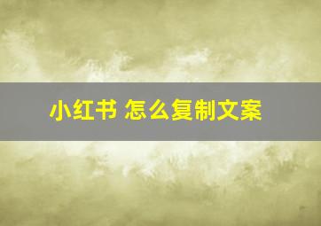 小红书 怎么复制文案